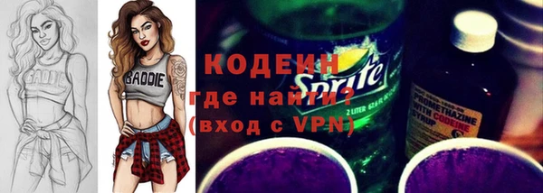 хмурый Арсеньев