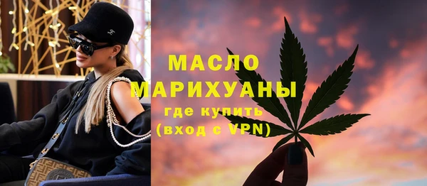 хмурый Арсеньев