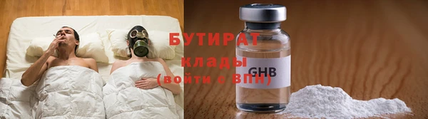 индика Аркадак