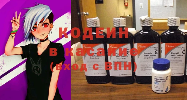 индика Аркадак