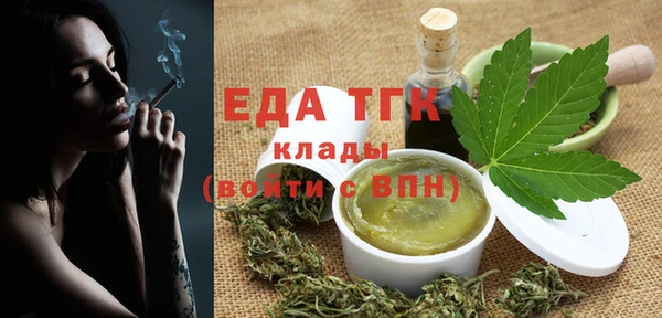 индика Аркадак