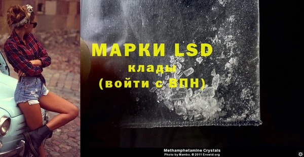 индика Аркадак
