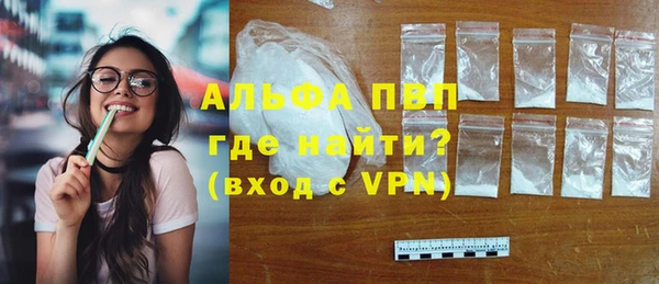 индика Аркадак