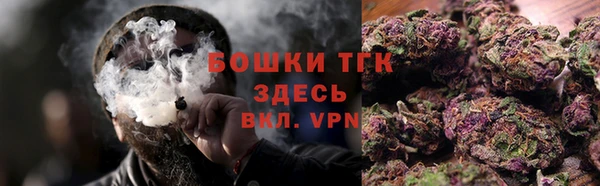 хмурый Арсеньев