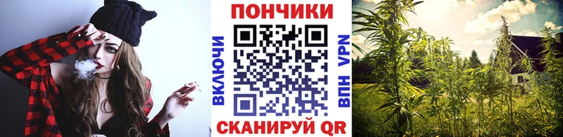 Каннабис семена  сколько стоит  Чёрмоз 